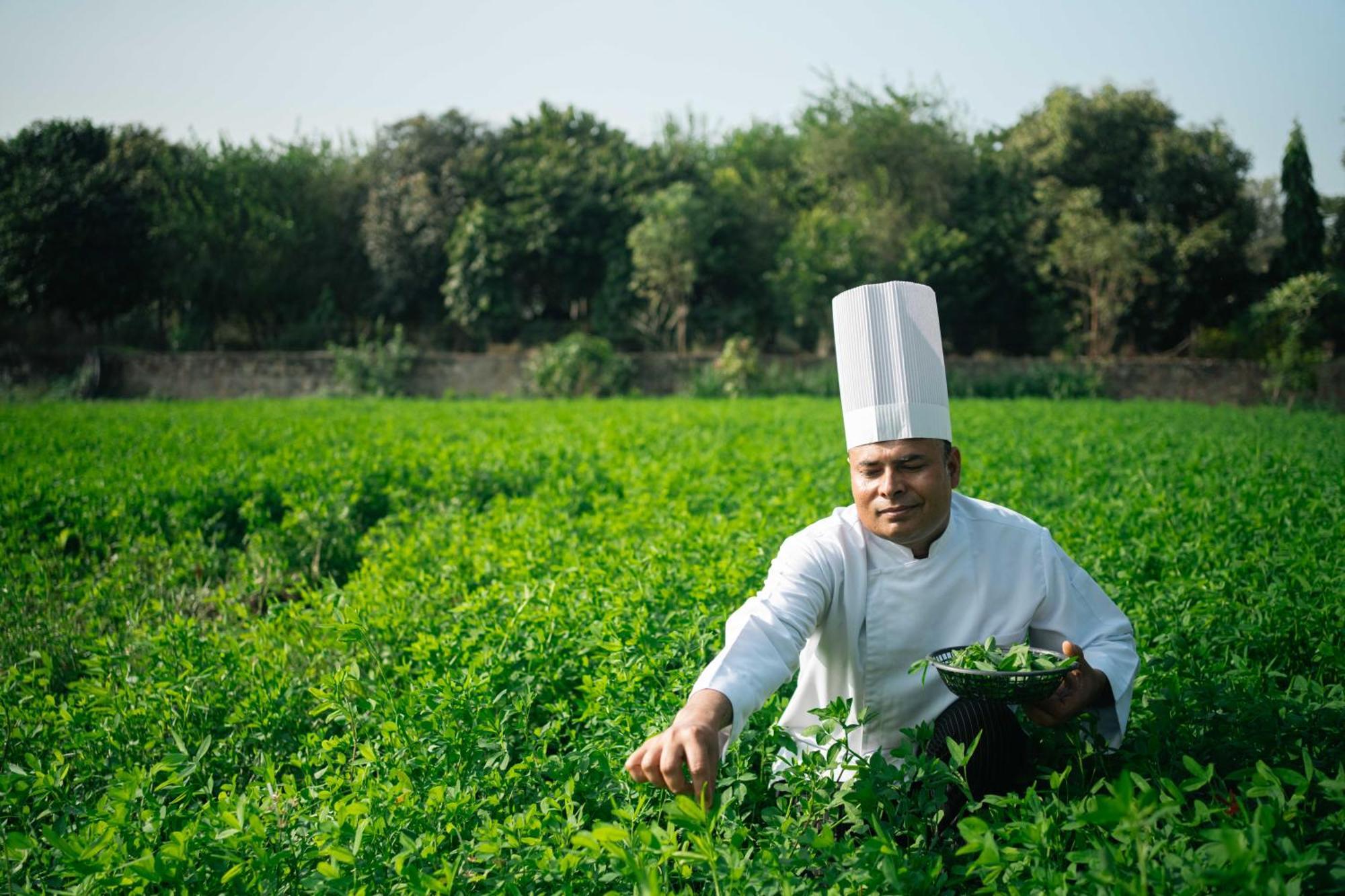Abhyaran Resort & Spa Ranthambore サワイ・マドプール エクステリア 写真