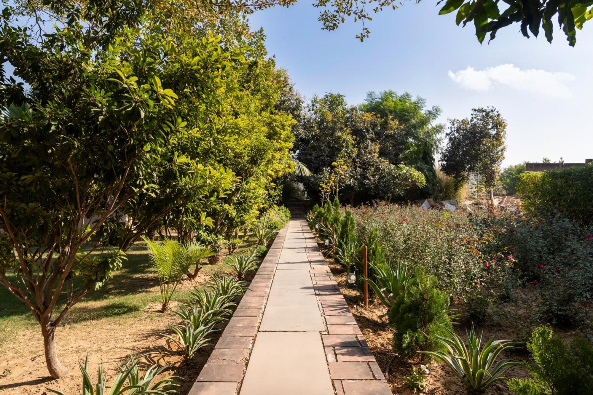 Abhyaran Resort & Spa Ranthambore サワイ・マドプール エクステリア 写真